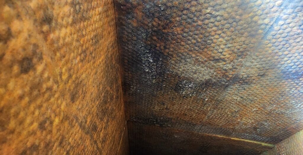 Mold growth on HVAC duct insulations in a building HVAC system.